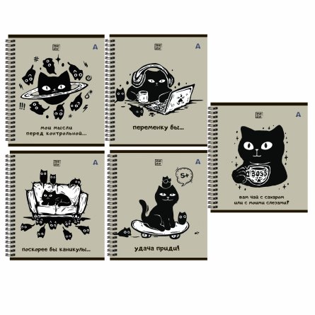 Тетрадь 48л, А5, клетка, Alingar "Котики", гребень,мелованный картон (стандарт) Soft touch,  блок офсет, 5 дизайнов в пленке т/у фото 1