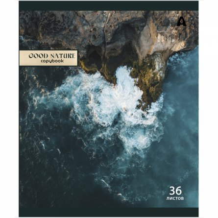 Тетрадь 36 л., А5, клетка, Alingar "Good nature", скрепка, офсет, мелованная бумага, 5 дизайнов в пленке т/у фото 5