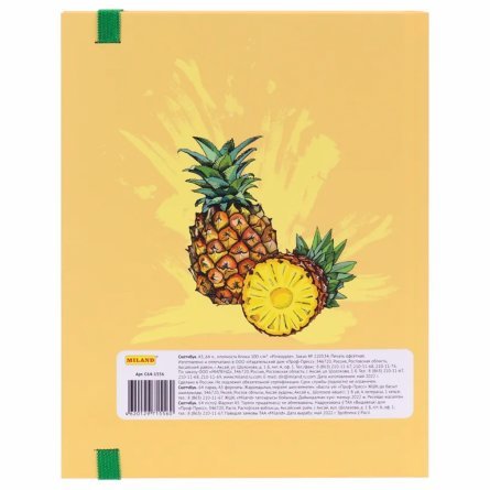 Скетчбук А5., 64л.,"Pineapple" 100г/м2, Миленд, 7БЦ, ламинация, Soft Touch, резинка, блок-офсет фото 4