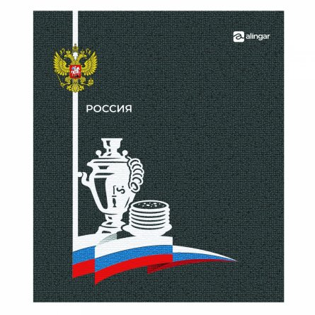Тетрадь 48л., А5, клетка, Alingar "Россия", скрепка, мелованный картон (стандарт), блок офсет, 4 дизайна в пленке т/у фото 2