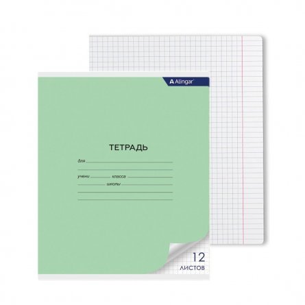 Тетрадь 12л., клетка, Alingar, скрепка, блок офсет, 100% белизна, мелованный картон (стандарт), "Зелёная" фото 1