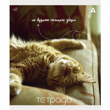 Тетрадь 48л., А5, клетка, Alingar "Кошки", скрепка, мелованый  картон ( стандарт), блок офсет, 5 дизайнов в пленке т/у фото 5