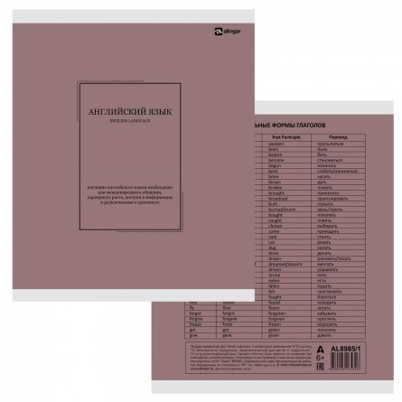 Комплект предметных тетрадей А5 48л., 10 предметов, со справ. матер, скрепка, пластиковая прозрачная обложка, блок офсет,Alingar "Classic NEW" фото 12