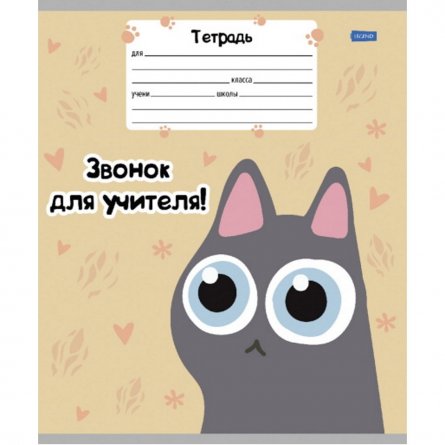 Тетрадь 18л., клетка, Проф-Пресс, скрепка, блок офсет, мелованная обложка, "Котобудни", 4 дизайна в коробе фото 5