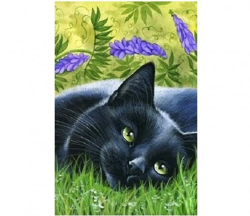 Алмазная мозаика Alingar, на подрамнике, с полным заполнением, (матов.), 20х30 см, 20 цветов, "Черный кот" фото 1