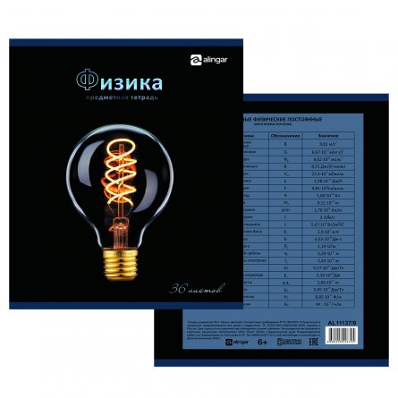 Тетрадь предметная  36л. А5 "Физика", клетка, со справочным материалом, скрепка, мелованный картон (стандарт), блок офсет, Alingar "Bright" фото 1