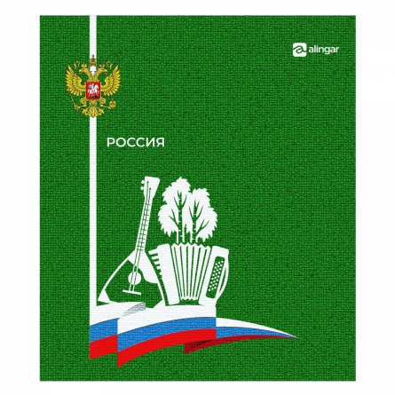 Тетрадь 48л., А5, клетка, Alingar "Россия", скрепка, мелованный картон (стандарт), блок офсет, 4 дизайна в пленке т/у фото 3