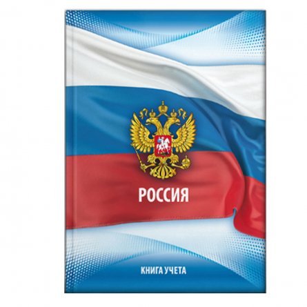 Книга учета 200 мм * 295 мм., 80 л., клетка, 7БЦ, ламинация, блок-офсет, Проф-пресс "Российский флаг" фото 1