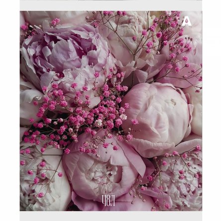 Тетрадь 48л., А5, клетка, Alingar "Нежные цветы", скрепка, мелованый  картон ( стандарт), блок офсет, 5 дизайнов в пленке т/у фото 3