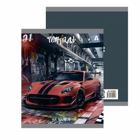 Тетрадь 48л., А5, клетка, Alingar "Car", скрепка, мелованый  картон ( стандарт), блок офсет, 5 дизайнов в пленке т/у фото 2