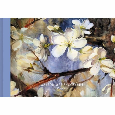Альбом для рисования А4 30 л., Канц-Эксмо, КБС, мелованный картон, твин-лак, блок офсет, 120 г/м2, "Нежные цветы" фото 1