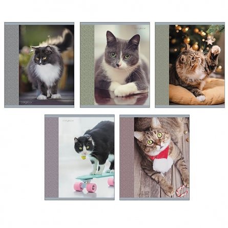 Тетрадь 96л., А5, клетка, Канц-Эксмо "Любимый кот", мелованный картон фото 1