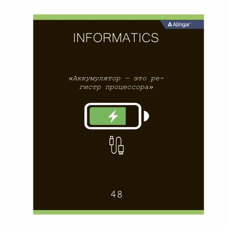 Тетрадь предметная "Информатика" А5 48л., клетка, со справочным материалом, скрепка, мелованный картон (стандарт), блок офсет, Alingar "Loading" фото 1