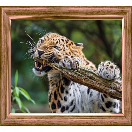 Алмазная мозаика Рыжий кот, без подрамника, на картоне, с полным заполнением, (класс.), 30х40 см, 27 цветов, "Свирепый леопард" фото 2