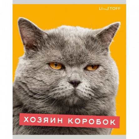 Тетрадь 96л., А5, клетка, Канц-Эксмо "Характер котика", скрепка, мелованный картон, глянц. ламинация, 5 дизайнов фото 2