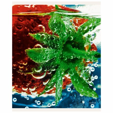 Тетрадь 80л., А5, линия, Канц-Эксмо "Juicy fruits", скрепка, мелованный картон фото 6