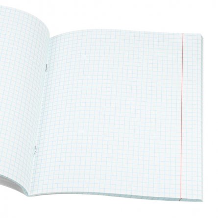 Тетрадь предметная 48л., А5, клетка, Проф-Пресс,"Капибара. Биология" скрепка, обложка мелованный картон, тиснение лён, со справ. материалом фото 4