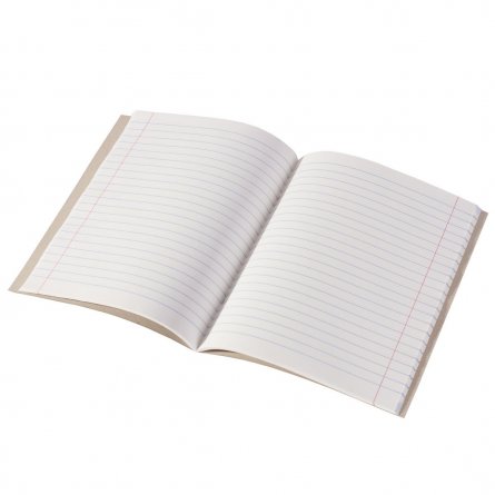 Тетрадь предметная "Литература" А5 48л., со справочным материалом, скрепка, мелованный картон (стандарт), блок офсет, Alingar "Простое решение" фото 3