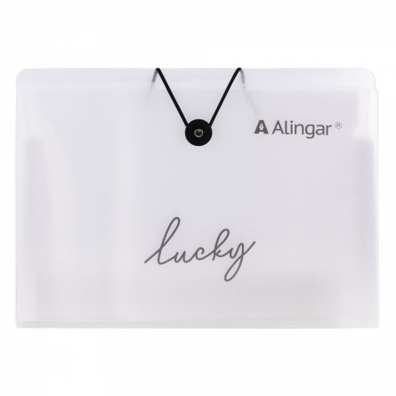 Папка-картотека на пуговице  Alingar, A4, "Lucky", 325х235х20 мм, 500 мкм,13 отделений, наклейки-разделители, прозрачная, матовая, текстура фото 1