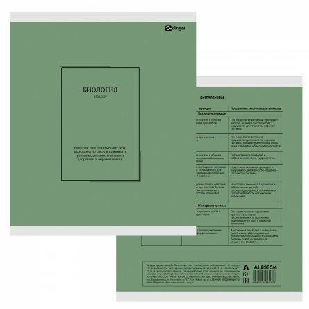 Комплект предметных тетрадей А5 48л., 10 предметов, со справ. матер, скрепка, пластиковая прозрачная обложка, блок офсет,Alingar "Classic NEW" фото 20