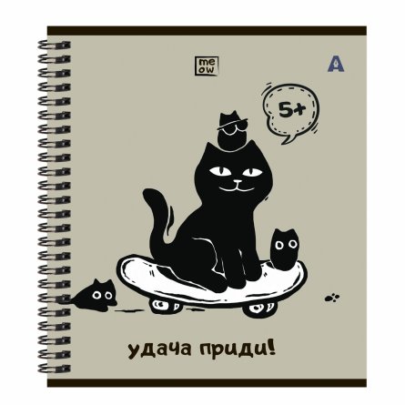 Тетрадь 48л, А5, клетка, Alingar "Котики", гребень,мелованный картон (стандарт) Soft touch,  блок офсет, 5 дизайнов в пленке т/у фото 3