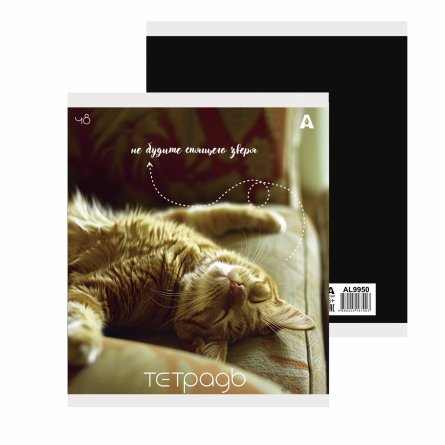 Тетрадь 48л., А5, клетка, Alingar "Кошки", скрепка, мелованый  картон ( стандарт), блок офсет, 5 дизайнов в пленке т/у фото 2