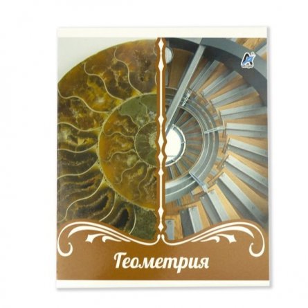 Тетрадь предметная "Геометрия" А5 36л., со справочным материалом, на скрепке, мелованный картон, Alingar фото 1