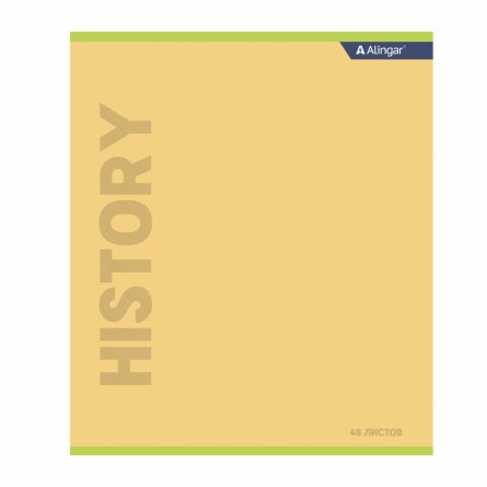 Тетрадь предметная "История" А5 48л.,  клетка, со справочным материалом, скрепка, мелованный картон (стандарт), блок офсет, Alingar "Классика" фото 1
