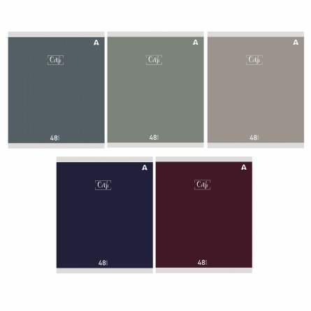 Тетрадь 48л., А5, клетка, Alingar "Style", скрепка, мелованый  картон ( стандарт), блок офсет, 5 дизайнов в пленке т/у фото 1