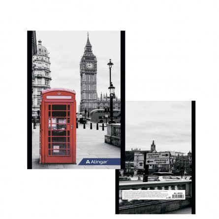 Блокнот 104х170 мм, скрепка, Alingar, мелованный картон, 48 л., клетка, "Лондон" фото 1