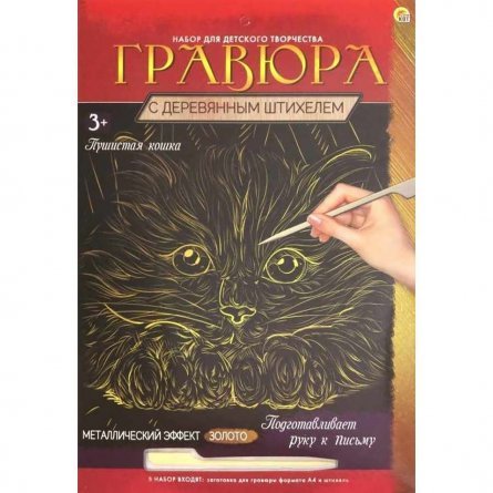 Гравюра с эффектом золота Рыжий кот, А4, картонный конверт, "Пушистая кошка" фото 1