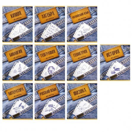 Комплект предметных тетрадей А5 48л., 10 предметов, со справочным материалом, скрепка, мелованный картон (эконом), блок офсет, Alingar "Jeans" фото 1