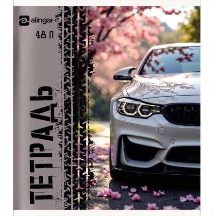 Тетрадь 48л., А5, клетка, Alingar "Авто", скрепка, мелованный  картон, блок офсет, 5 дизайнов в пленке т/у фото 6