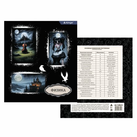 Тетрадь предметная "Физика" А5 48л., клетка, со справочным материалом, скрепка, мелованный картон(стандарт), блок офсет, Alingar "Mystical wednesday" фото 2