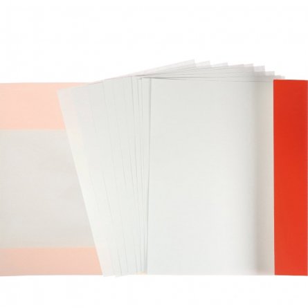 Папка для черчения А4 10л., Проф-Пресс, без рамки, цветная обложка, 200г/м2, "Схема стегозавра" фото 2