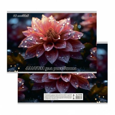 Альбом для рисования А4 40л., Alingar, на скрепке, мелованный картон (стандарт), 100 г/м2,  "Цветы", 2 дизайна в пленке т/у фото 2