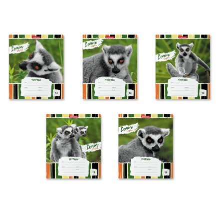 Тетрадь 18л., клетка, Erich Krause, скрепка, офсет, мелован. картон "Lemur Style" фото 1