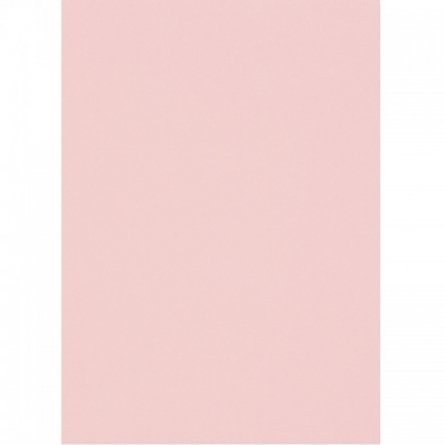 Бумага цветная для офиса А4, 20л., Пастель "Розовый", Alingar, 70г/м2, пленка т/у фото 2