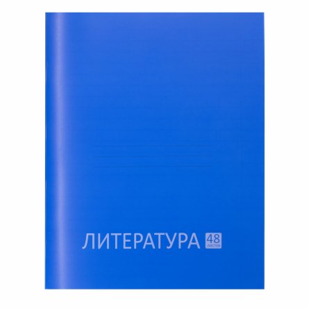 Тетрадь предметная "Литература"  А5 48л., линия, со справ матер, скрепка, синяя пластиковая обложка, блок офсет, Alingar "Стильная классика" фото 1