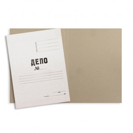 Папка-обложка "Дело"  COLORCODE, картон мелованный, 380/м2, белый фото 1