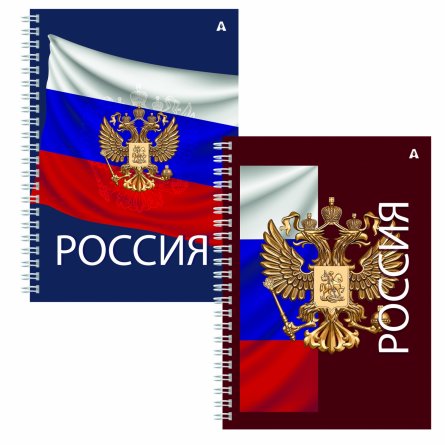 Тетрадь 96л., А4, клетка, Alingar, гребень, блок офсет, мелованный картон, "Россия" фото 1