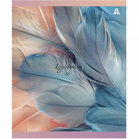 Тетрадь 36 л., А5, линия, Alingar "Lightness", скрепка, офсет,  мелованная бумага, 5 дизайнов в пленке т/у фото 3