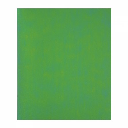 Тетрадь 48л., А5, клетка, Alingar "Green chameleon", скрепка, дизайнерский картон, глиттерное напыление, блок офсет, 100 % белизна фото 1