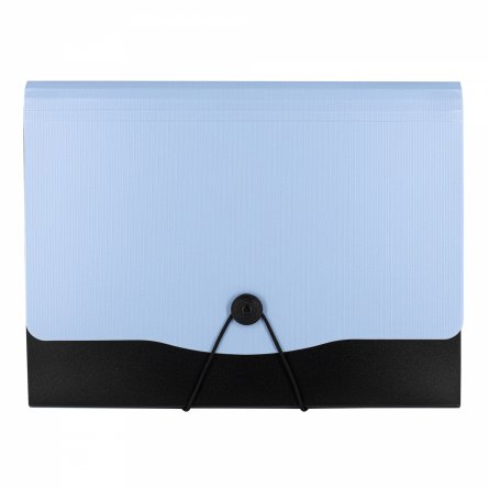 Папка-картотека Alingar, A4, 330х250 мм, на пуговице, пластик, 600 мкм, 13 отделений, папка-планшет, голубой клапан фото 1