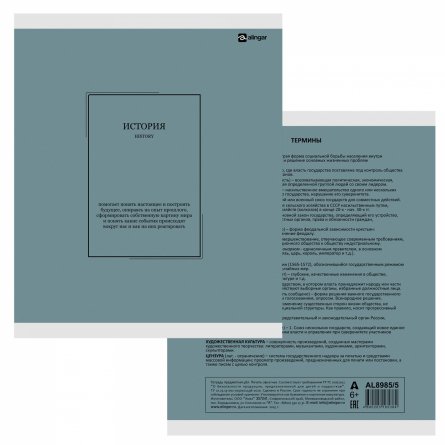 Тетрадь предметная "История" А5 48л., клетка, со справ матер, скрепка, прозрачная пластиковая обложка, блок офсет, Alingar "Classic NEW" фото 3