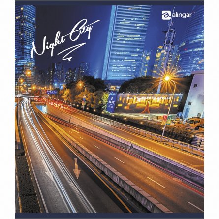 Тетрадь 36 л., А5, клетка, Alingar "Night city "(Вечерний город), скрепка, офсет 60г/м2,  мелованный картон (стандарт), 4 дизайна в пленке т/у фото 5