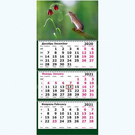 Календарь квартальный на 3 гребнях 3-х блоч Полином "Символ года. Мышка с цветочком 2021 г." фото 1