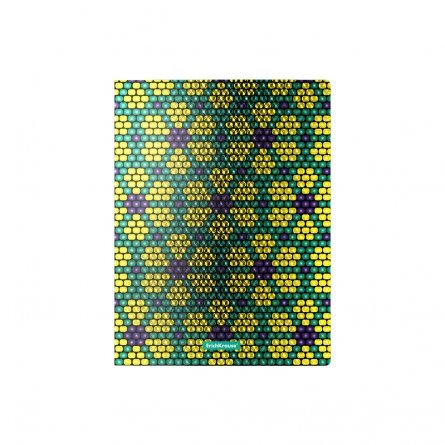 Папка на 2-х кольцах Erich Krause, А4, 238х310х24 мм, 550 мкм, пластик, "Green&Yellov Beads" фото 2