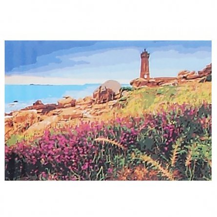 Картина по номерам Рыжий кот, 40х50 см, с акриловыми красками, холст, "Цветочное поле у моря" фото 1