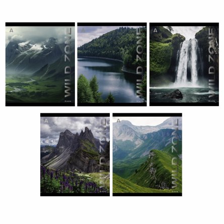 Тетрадь 36 л., А5, линия, Alingar, "Wild zone", скрепка, офсет, мелованная бумага, 5 дизайнов в пленке т/у фото 1